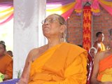 IMG_7950.JPG
